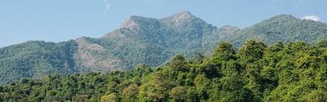 5-Day Chimpanzee Trek in Burundi