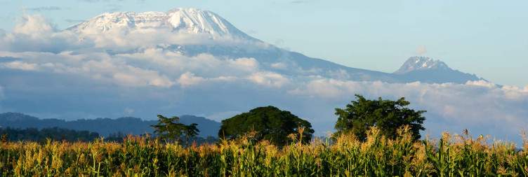 Materuni Waterfalls & Coffee Tour – Arusha