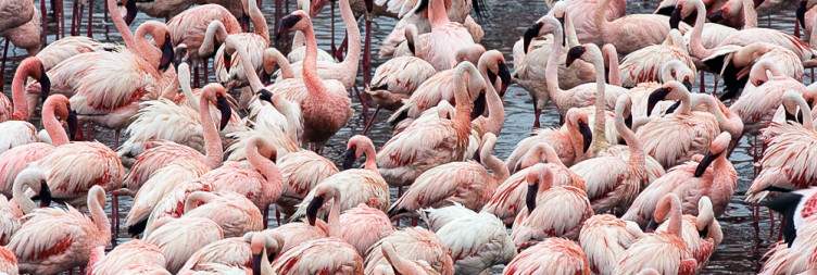 Arusha National Park