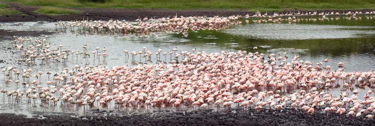 Arusha National Park