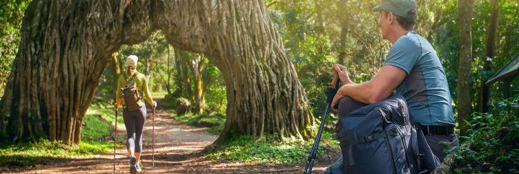 Arusha National Park + Walking Safari