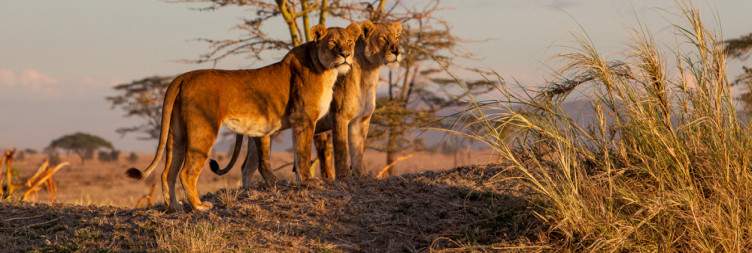 Seronera, Serengeti National Park