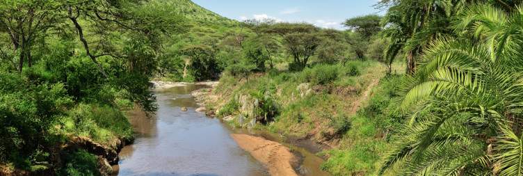 Game drive in Serengeti