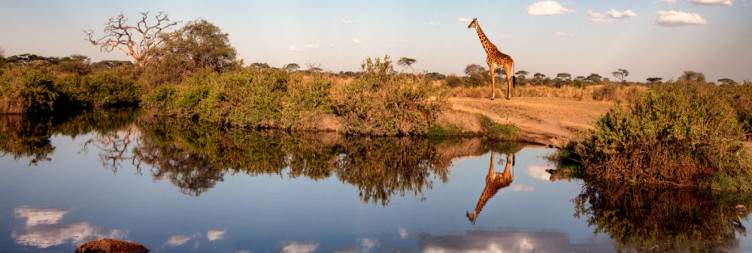 Central Serengeti National Park