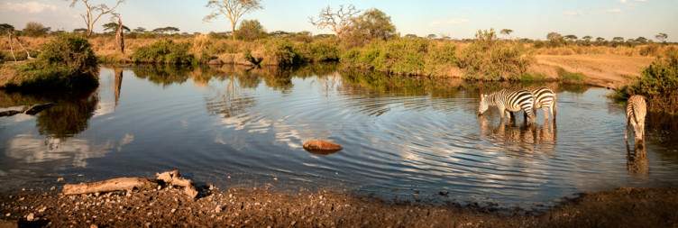 Serengeti National Park