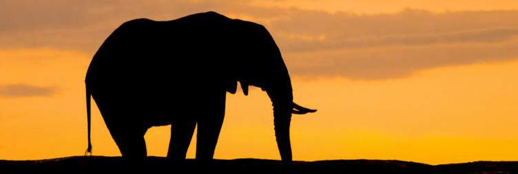 Karatu - Serengeti National Park