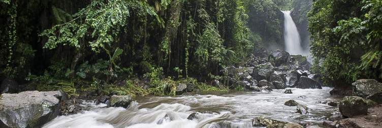 Excursion to Kilimanjaro