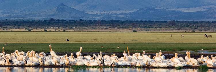 Lake Manyara National Park to Arusha