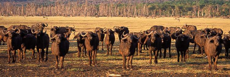 Lake Manyara Park to Arusha