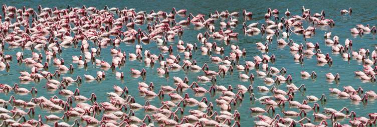 Lake Manyara National Park to Arusha