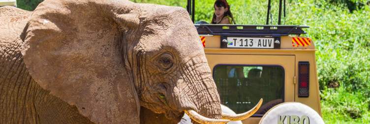 Lake Manyara National Park to Arusha