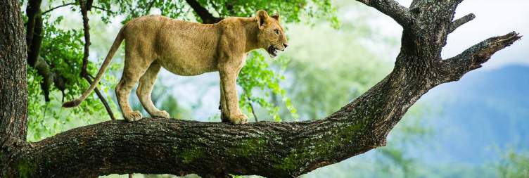 Lake Manyara to Arusha
