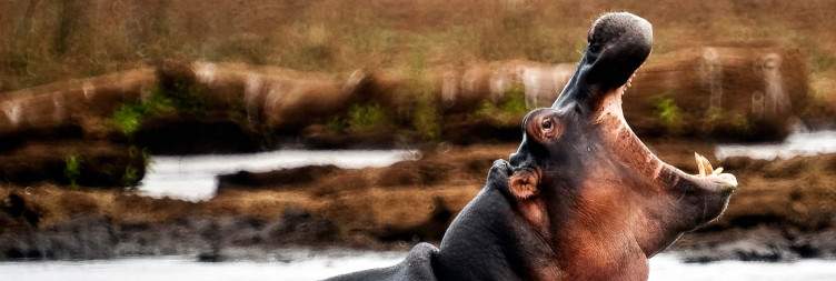 Lake Manyara National Park