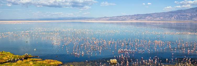 Tarangire to Lake Natron