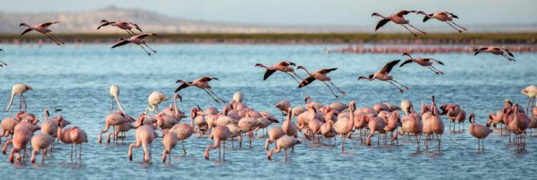 Drive Out from Manyara to Lake Natron