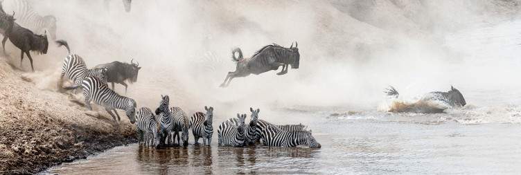 Second Full-Day Inside Masai Mara National Reserve