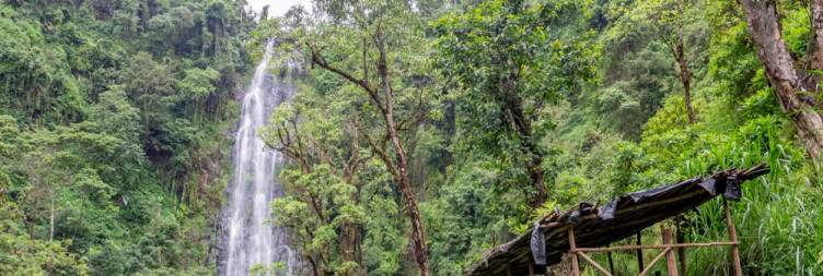 Kilimanjaro Excursion