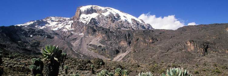 Karanga camp to Barafu camp
