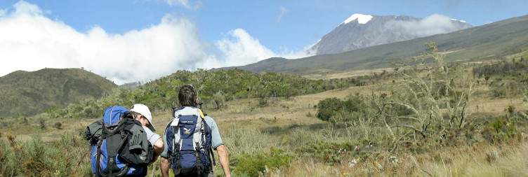 Arusha to Machame Camp