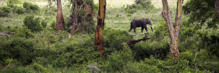Serengeti National Park