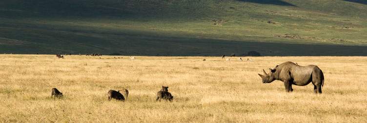 Ngorongoro Crater