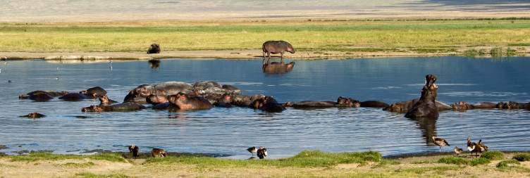 Ngorongoro Crater