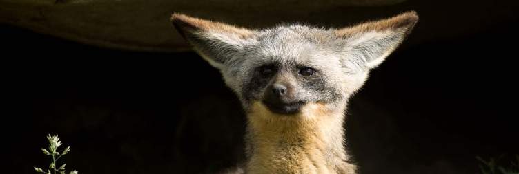Ngorongoro tour back to Arusha