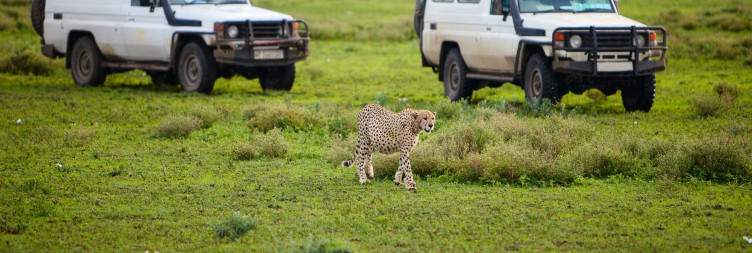 Ngorongoro Crater to Arusha Airport