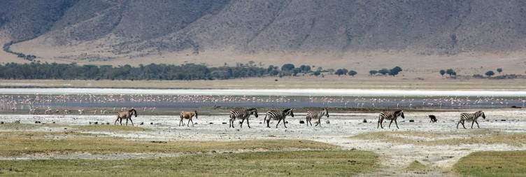 Lake Manyara National Park Safari and Ngorongoro Crater Rim