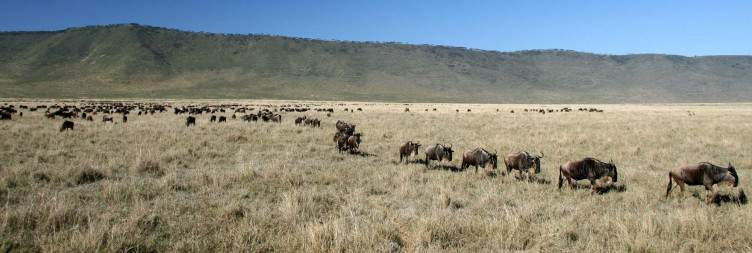 Ngorongoro Crater, Ngorongoro Conservation Area, Arusha Region