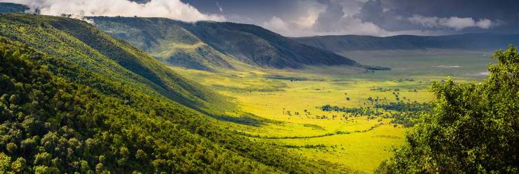 Ngorongoro Crater and back to Arusha