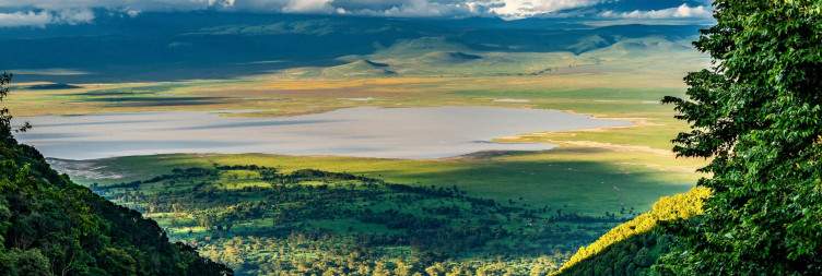Ngorongoro Crater Exploration & Return to Arusha