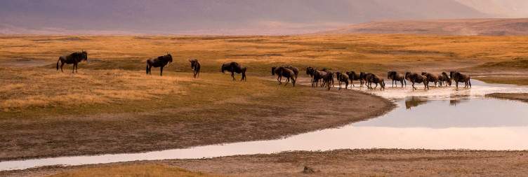 Ngorongoro to Arusha