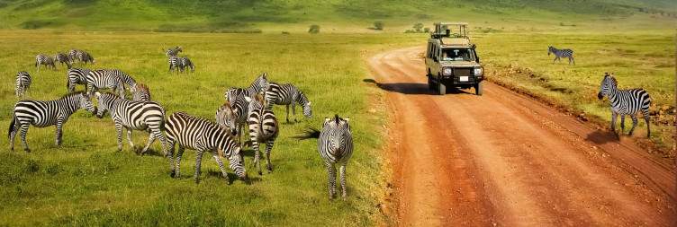 Central Serengeti National Park - Ngorongoro Crater
