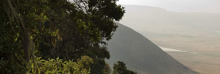 Early Morning Serengeti Game Drive & Transfer to Ngorongoro