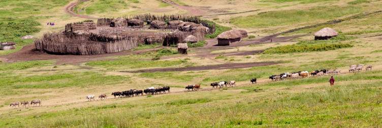 Ngorongoro Crater Rim