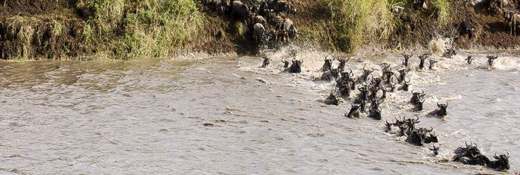Northern Serengeti National Park