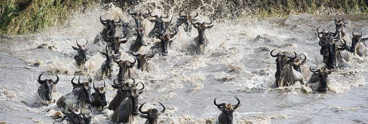 Central Serengeti National Park