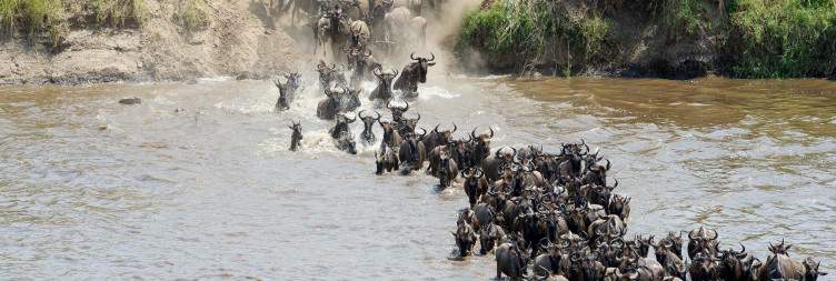 Northern Serengeti National Park - Central Serengeti National Park