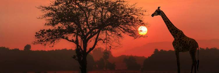 Northern Serengeti for the Great Migration