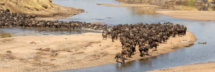 Game drive in North, night in Central Serengeti