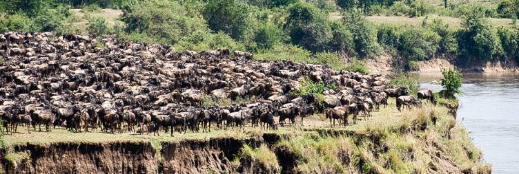 Serengeti National Park Game Drive