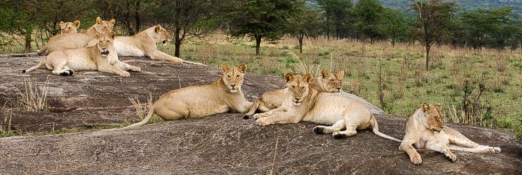 Serengeti National Park