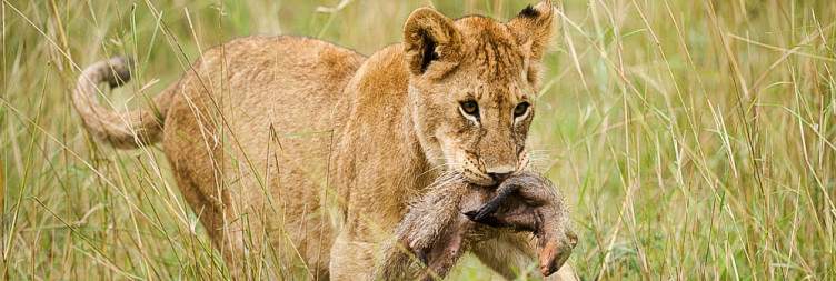Serengeti National Park