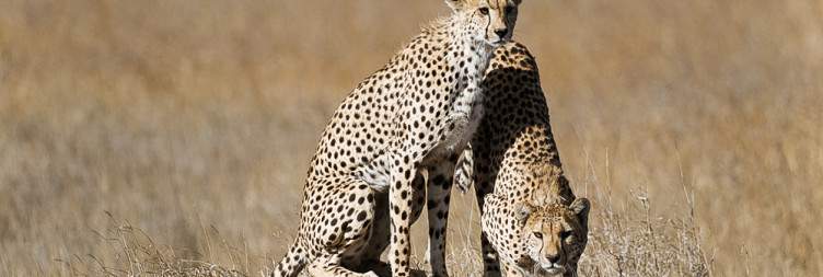 Karatu to Serengeti National Park