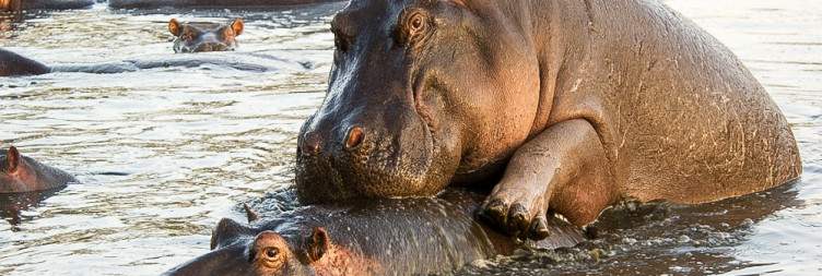 Seronera, Serengeti National Park