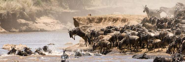 Serengeti National Park (Northern Serengeti)