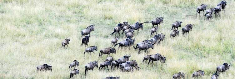 Mto wa Mbu to Serengeti National Park