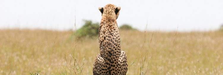 Serengeti National Park