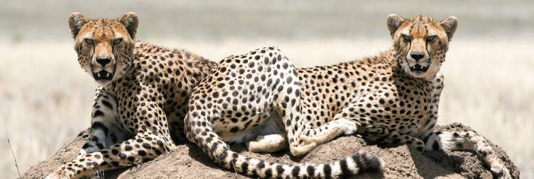 Serengeti National Park